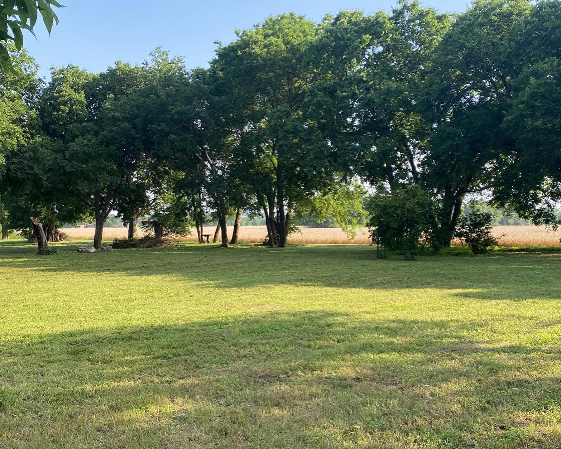 Front Lawn after