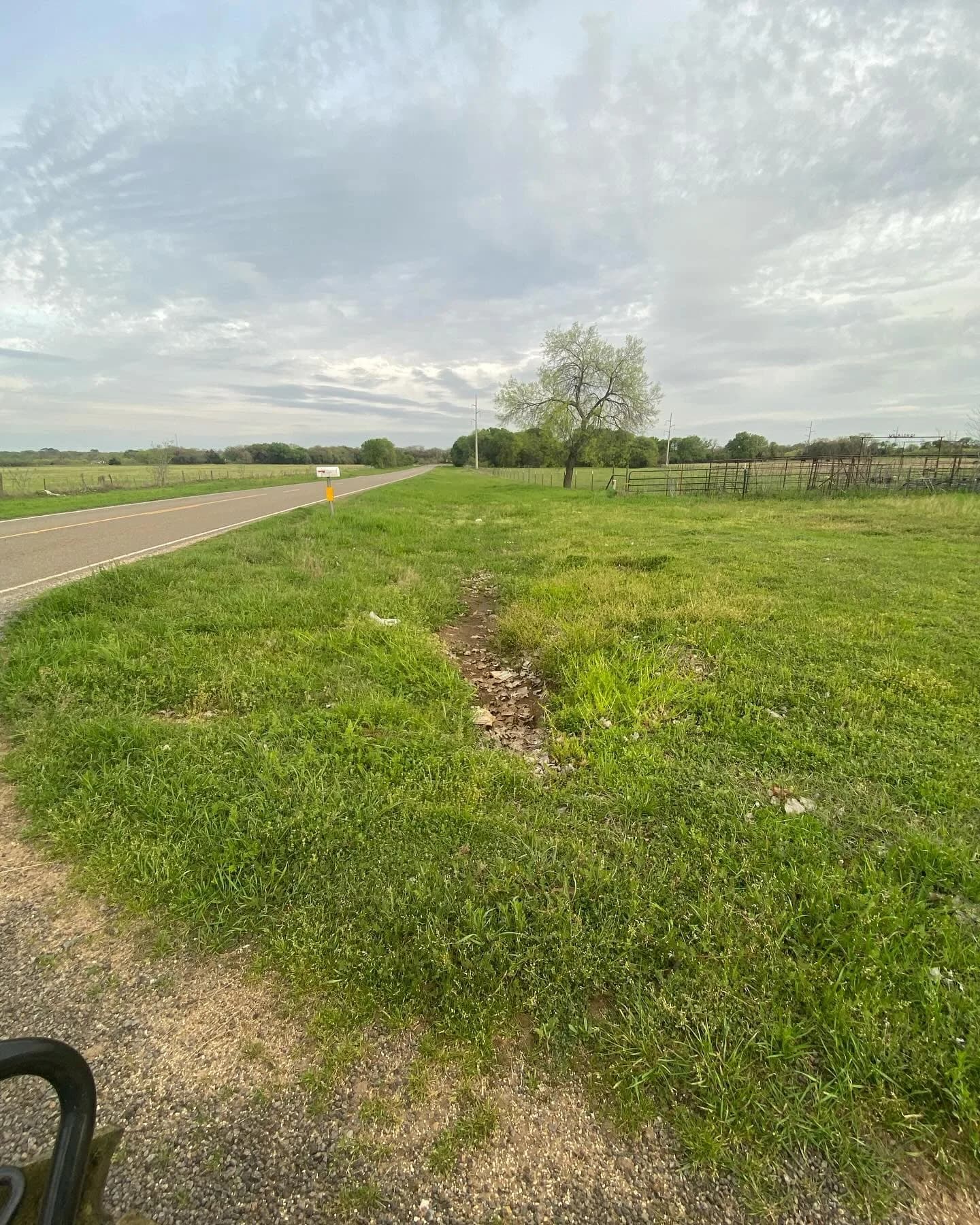 YC Mowing yard work photo 16