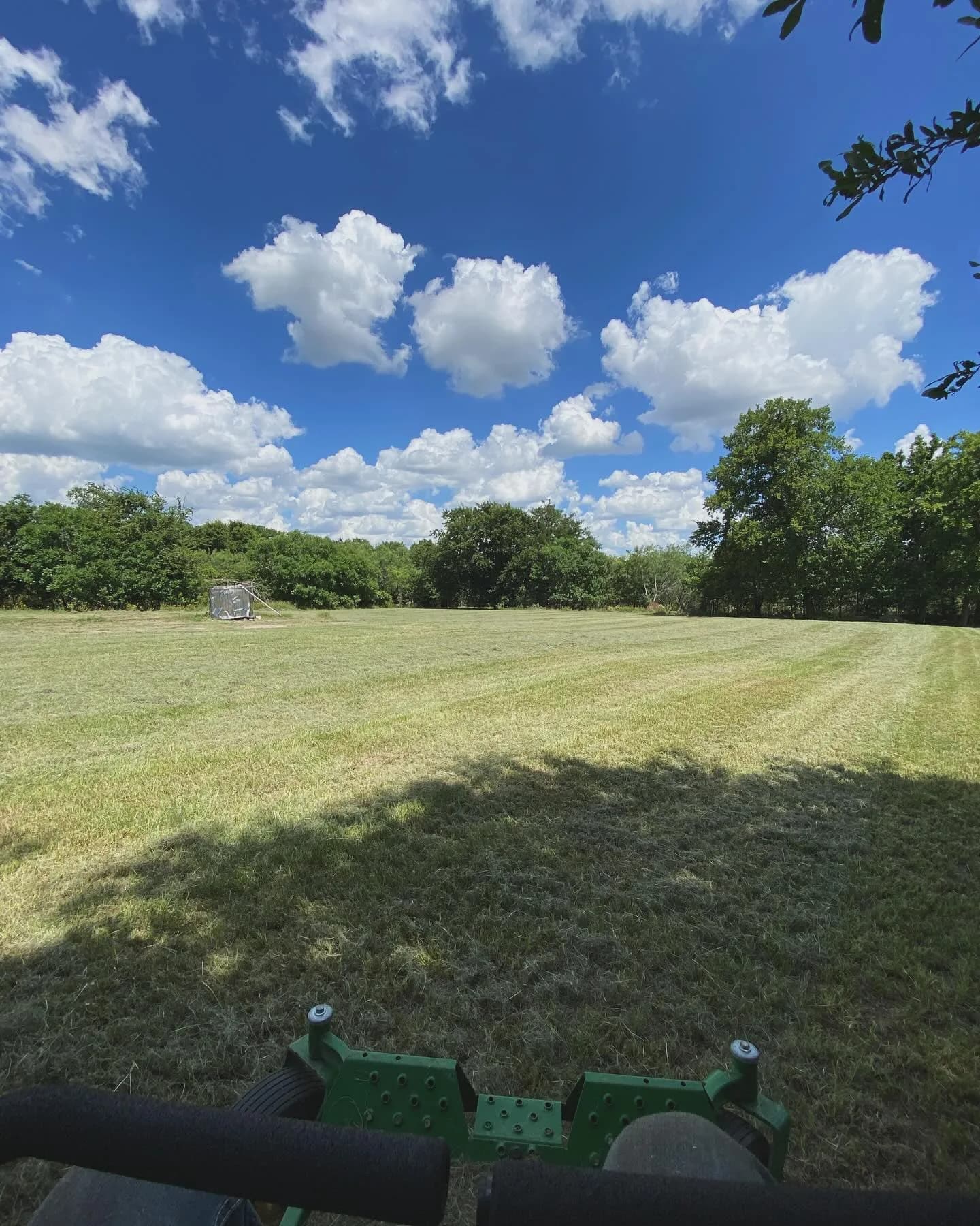 YC Mowing yard work photo 31