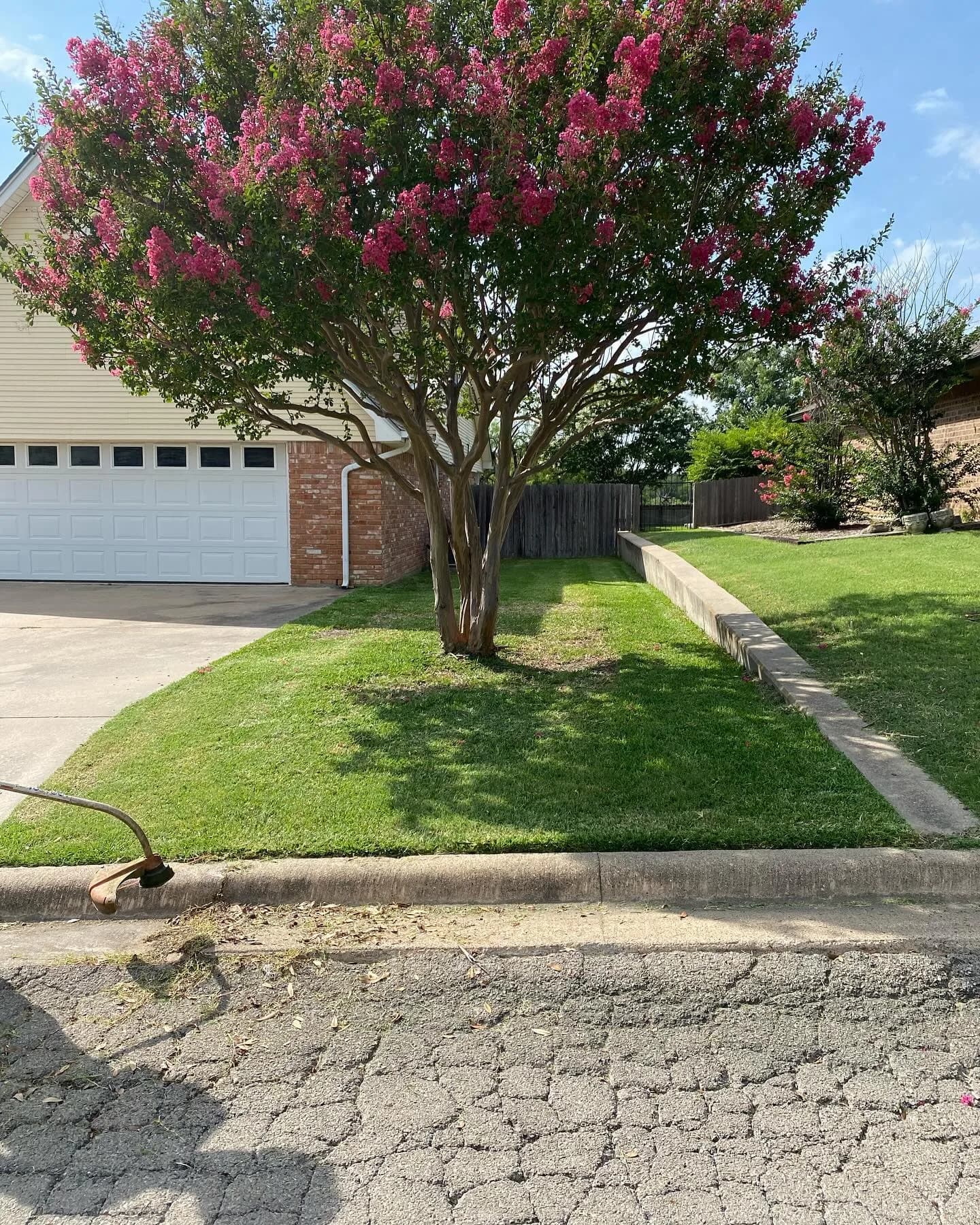 Yard Cleanup & Overgrown Lots