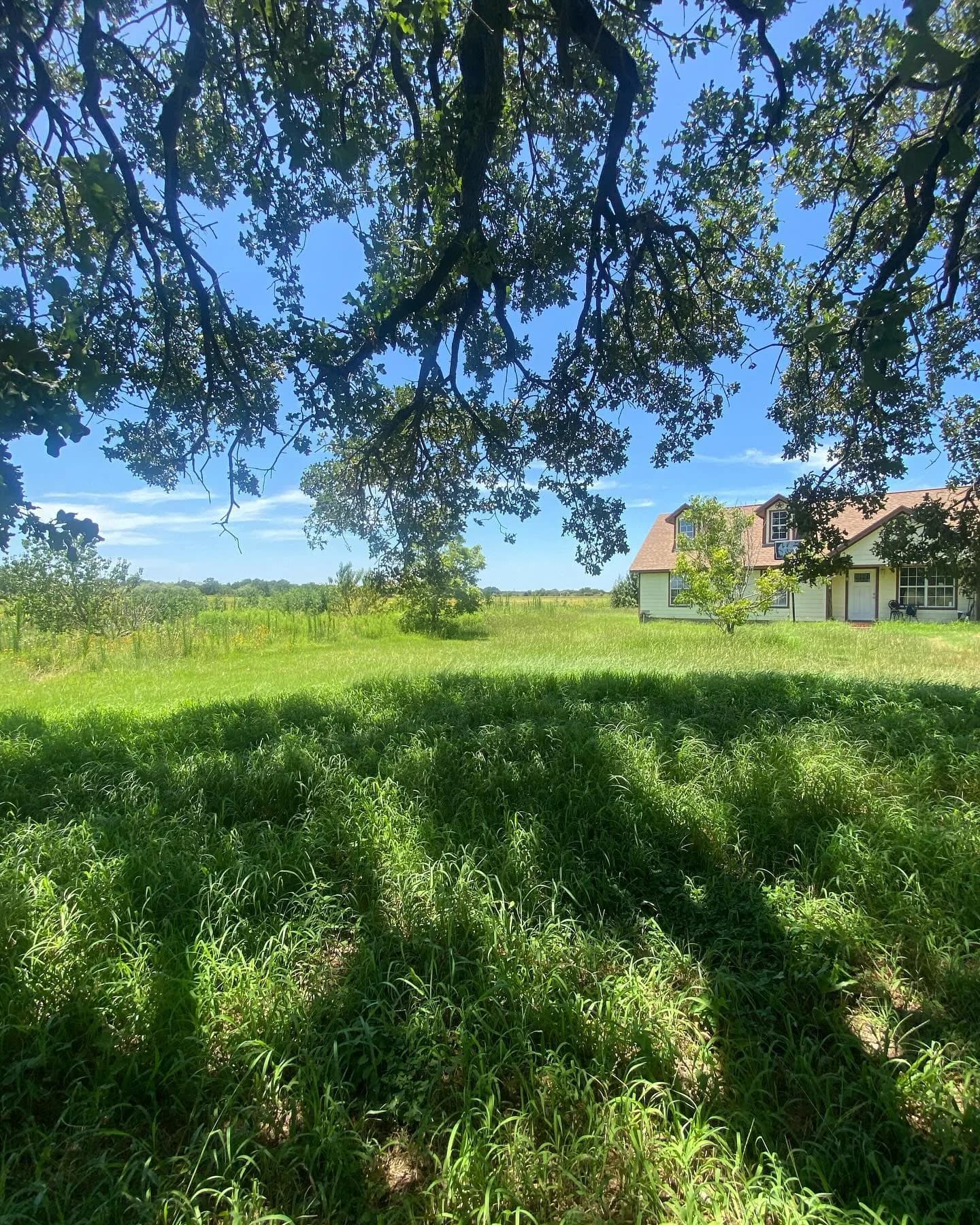 YC Mowing yard work photo 40