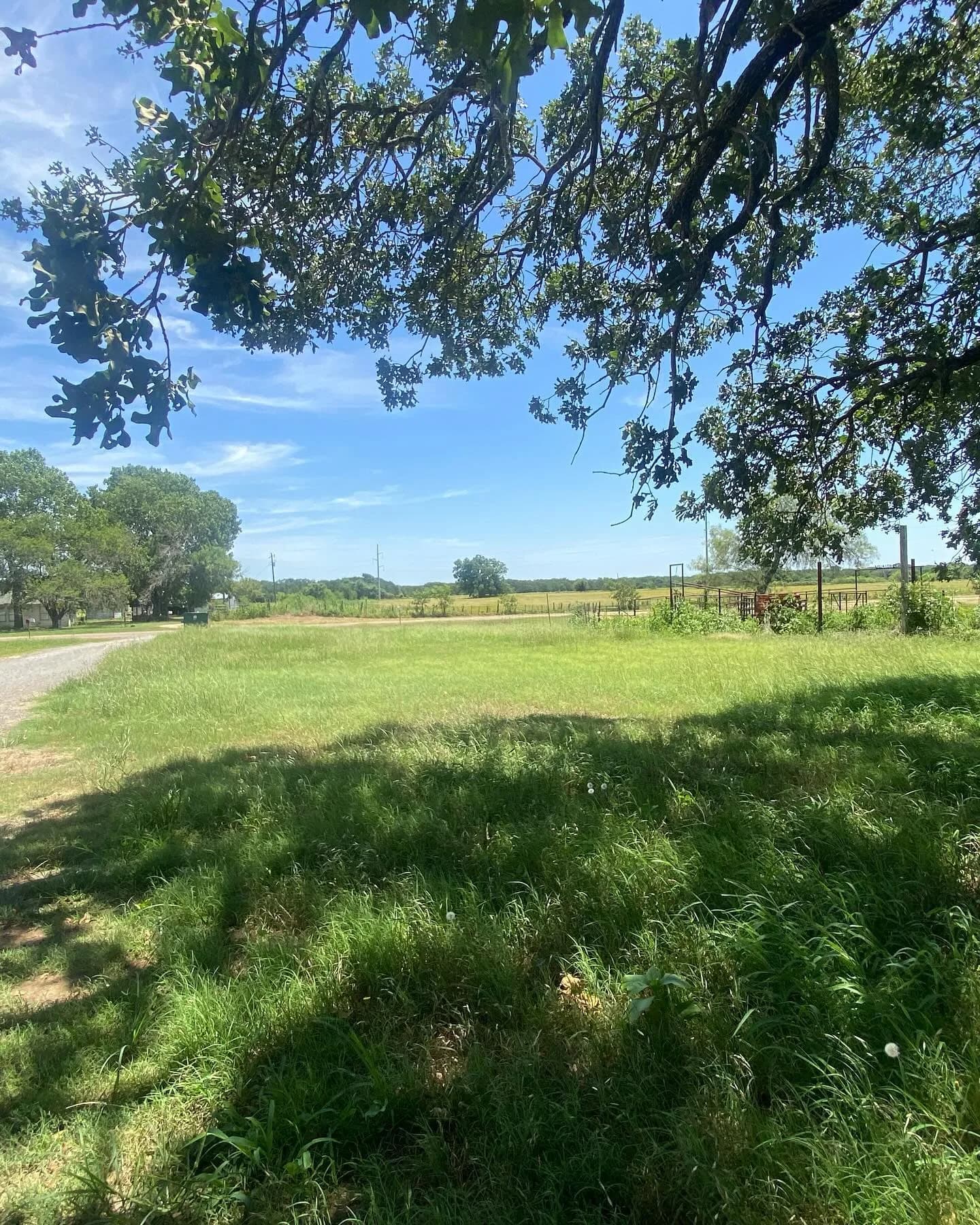 YC Mowing yard work photo 44